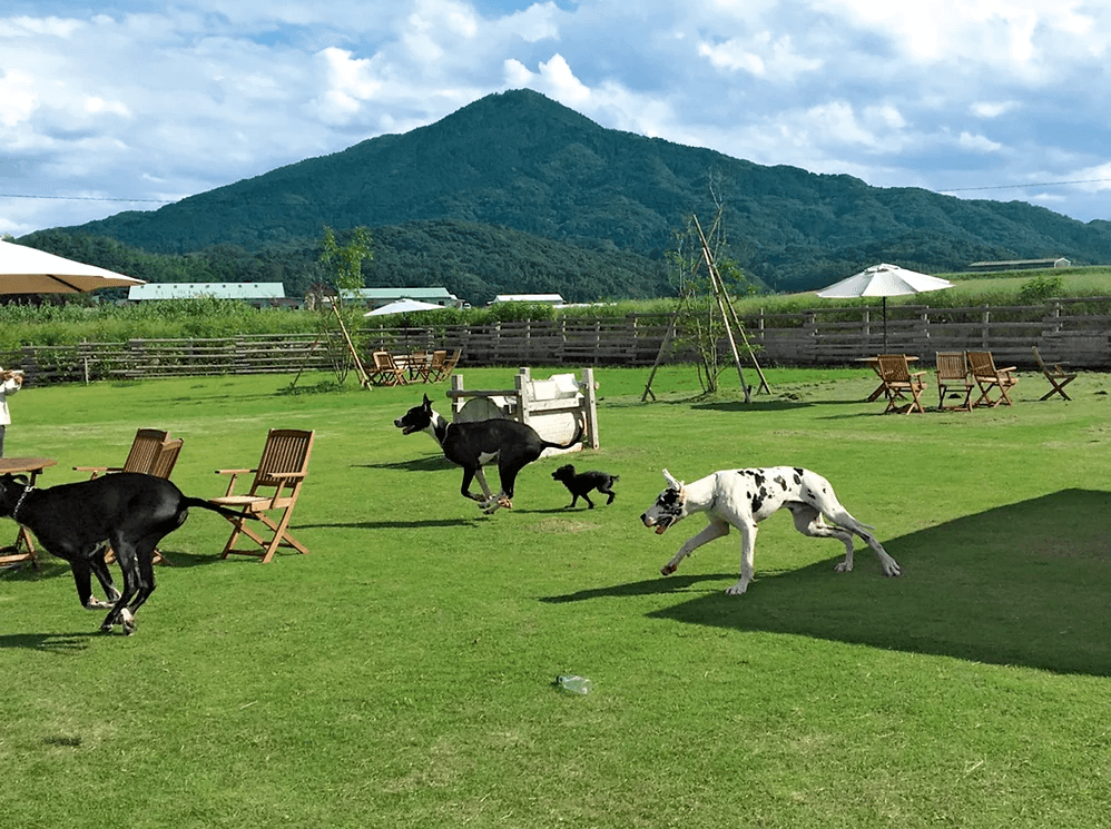 Farm Resort（ファームリゾート）糸島
